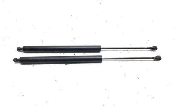 Peugeot Partner Tailgate/trunk strut/damper 700021036500