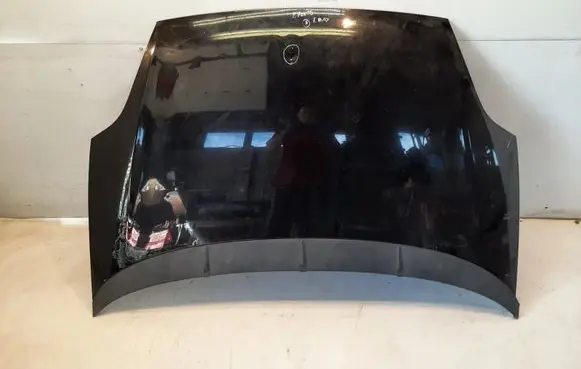 Fiat Punto (188) Engine bonnet/hood