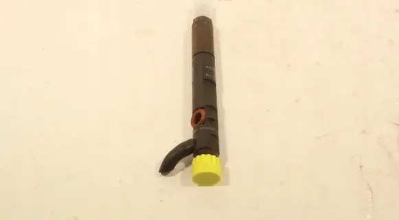 Renault Scenic III - Grand scenic III Fuel injector 28232251