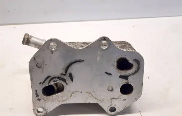 Volkswagen Golf V Engine oil radiator 