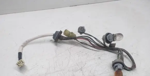 Subaru Outback Tail light bulb cover holder