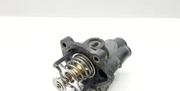Thermostat/thermostat housing