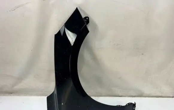 Ford Focus Fender