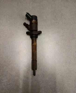 Peugeot Partner Fuel injector 0445110259