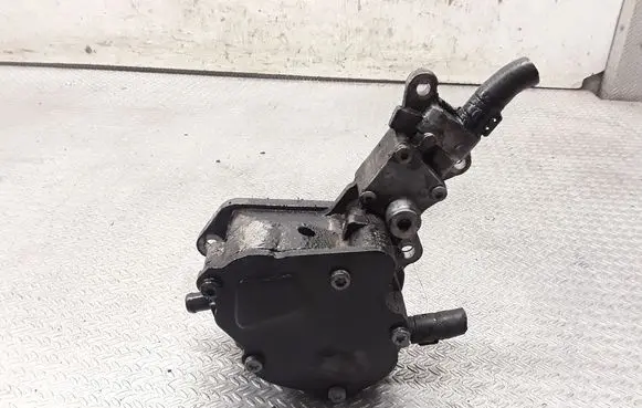 Volkswagen Golf Plus Vacuum pump 038145209N
