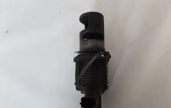 Renault Trafic II (X83) EGR valve 8200270539