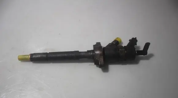 Citroen C3 Fuel injector 