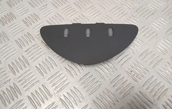 Nissan Leaf II (ZE1) Panel trim 250203NA0B
