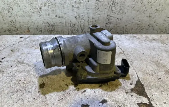 Nissan Juke I F15 Throttle valve 161A09794R