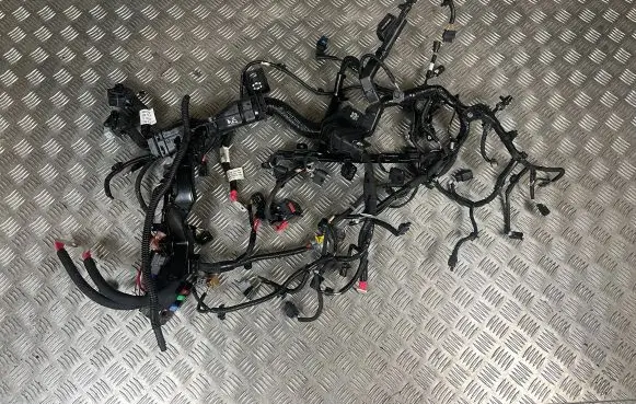 Renault Arkana Other wiring loom 243514171R 242963701R F1512347