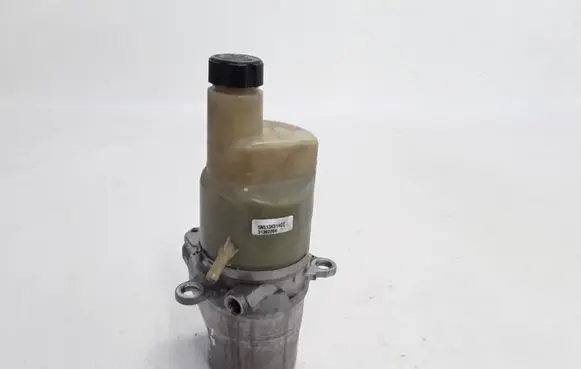 Electric power steering pump