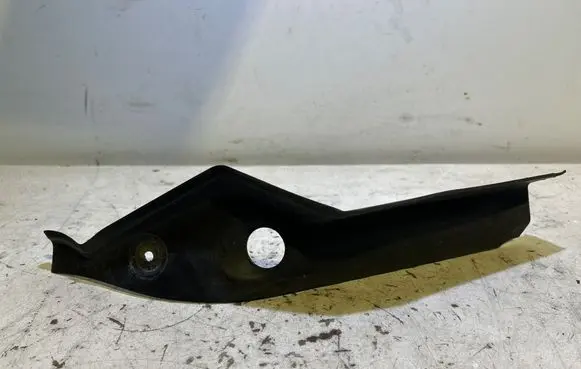 Rear/tail light trim molding