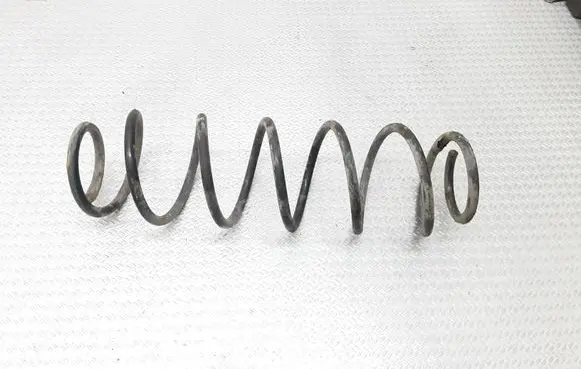 Rear coil spring