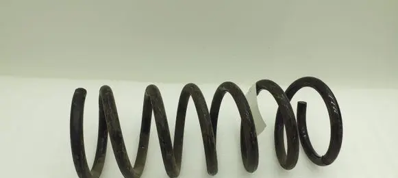 Ford S-MAX Rear coil spring