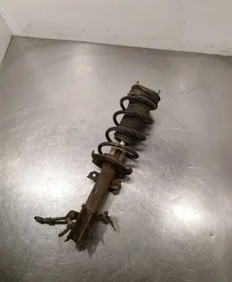 Ford Fiesta Front shock absorber with coil spring fk42820