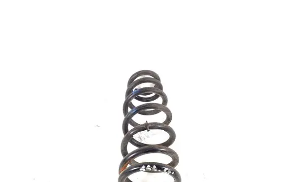 Rear coil spring