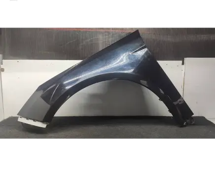 Ford Focus Fender