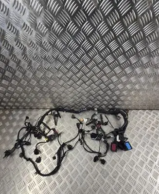 Engine installation wiring loom