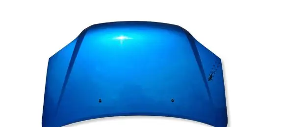 Suzuki Ignis Engine bonnet/hood 