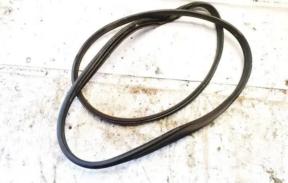 KIA EV6 Rubber seal front coupe door 