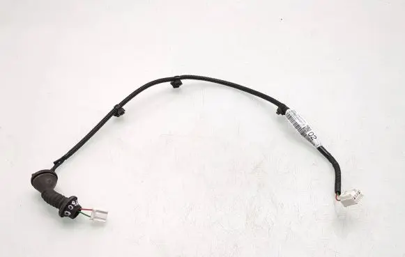 Rear door wiring loom