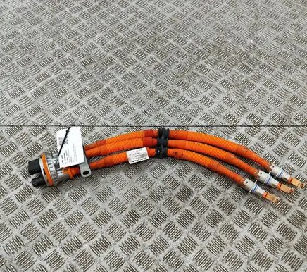 Other wiring loom