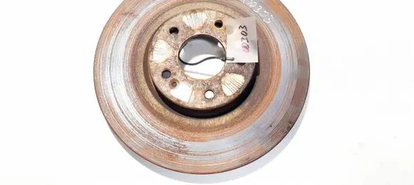 Hyundai Santa Fe Front brake disc ventiliuojamas