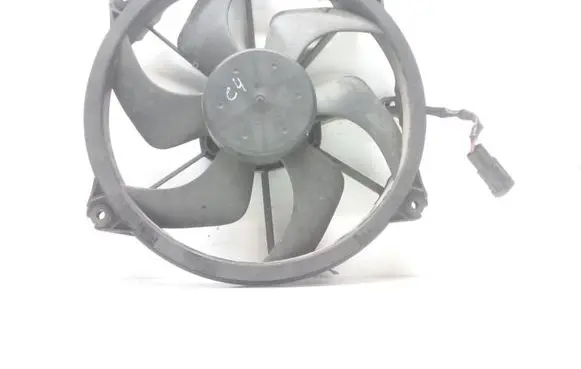 Citroen C4 I Picasso Electric radiator cooling fan 300000801