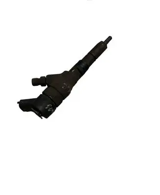 Citroen Jumper Fuel injector 0445110076