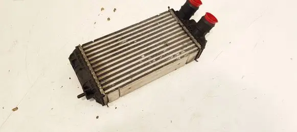 Peugeot 2008 I Intercooler radiator 9824742280