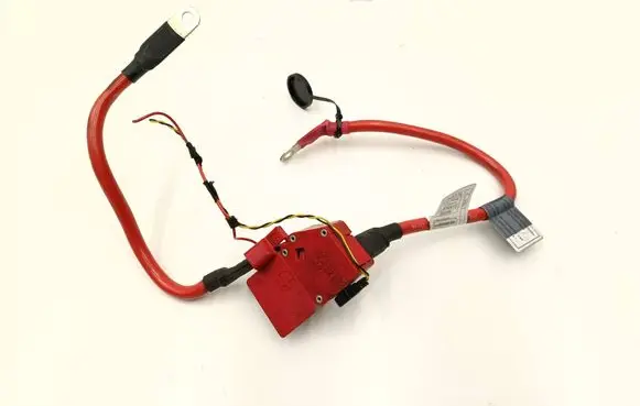 BMW 3 F30 F35 F31 Positive cable (battery) 9214506 9259425 0589P10072