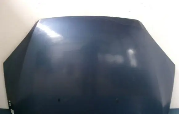 Engine bonnet/hood