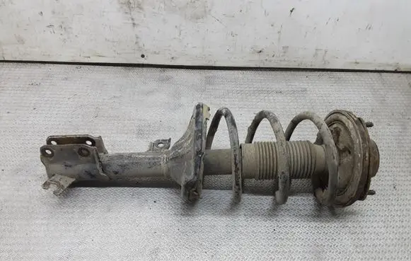 Hyundai Santa Fe Front shock absorber with coil spring