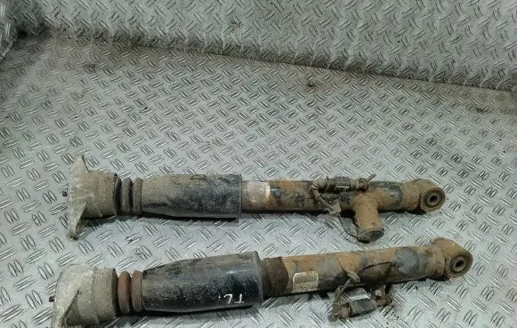 Audi A6 S6 C6 4F Rear shock absorber/damper 4F0616032J