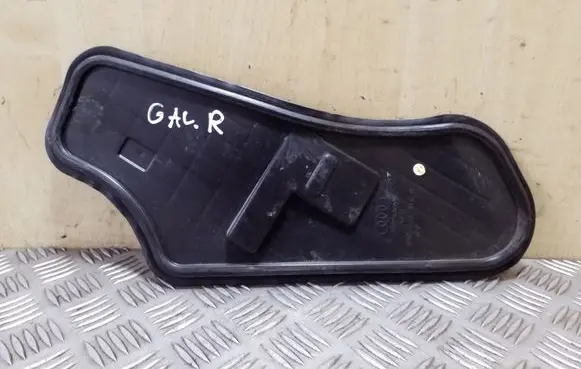 Other rear door trim element