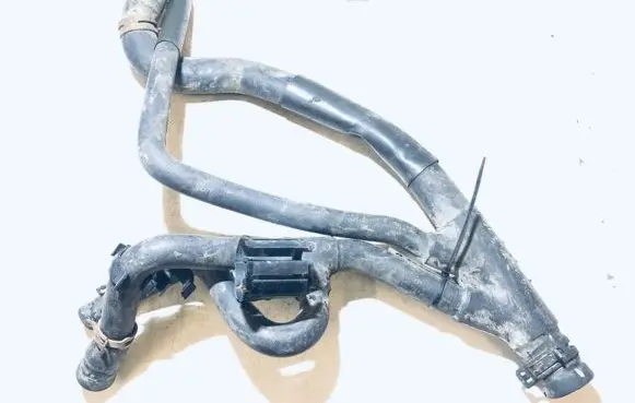 Renault Scenic I Engine coolant pipe/hose