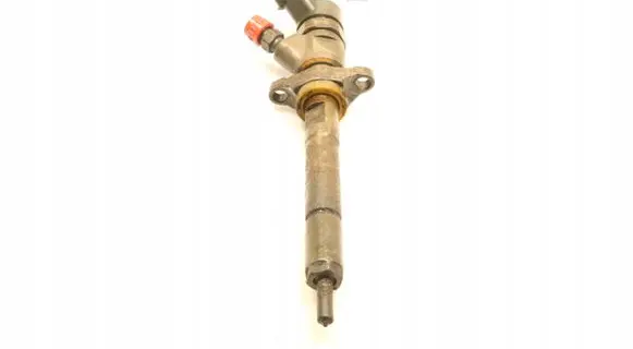 Ford Focus Fuel injector 044510259