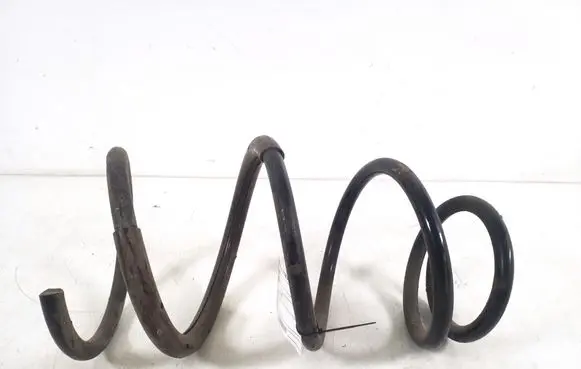 Front coil spring