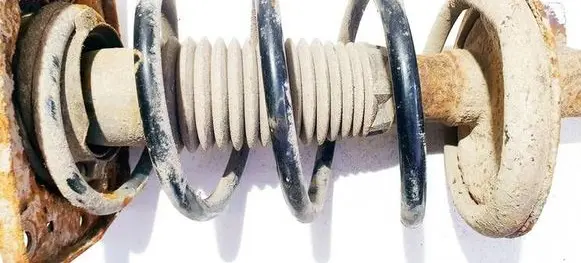 Citroen C8 Front coil spring 