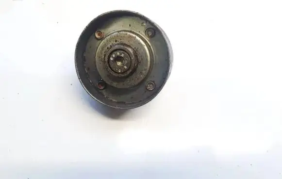 Renault Laguna II Belt tensioner pulley 