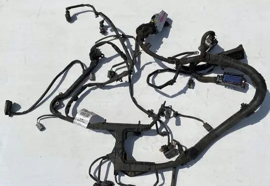 Other wiring loom