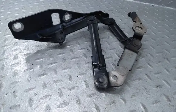Audi TT TTS Mk2 Engine bonnet/hood hinges 8J0823302H