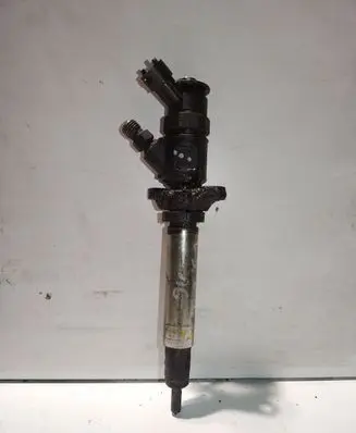Citroen C5 Fuel injector 0445110297