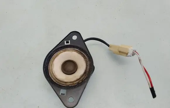 Panel speaker