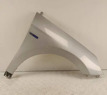 Hyundai Ioniq Fender 