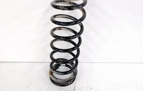 Rear coil spring