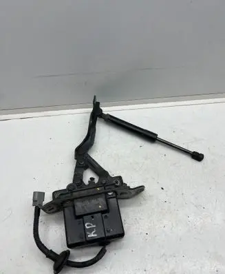 Hyundai Santa Fe Engine bonnet/hood hinges 791502W000 811612W000