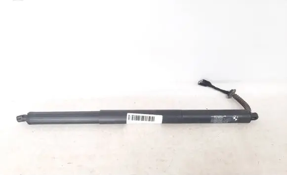 Tailgate/trunk strut/damper