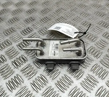 Land Rover Discovery 5 Fuel cooler (radiator) CPLA9N103AA