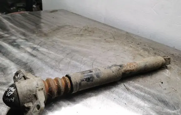 Rear shock absorber/damper